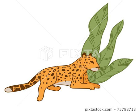 Leopard or cheetah resting under wide leaves flora 73788718