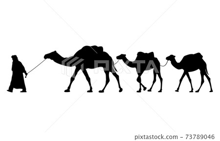 Silhouette of caravan of camels Silhouette of caravan of camels 73789046