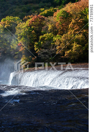 自然風神谷 自然風神谷 73789981