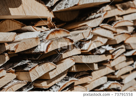 birch wood piled in a woodpile birch wood piled in a woodpile 73791558