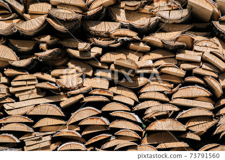 birch wood piled in a woodpile birch wood piled in a woodpile 73791560