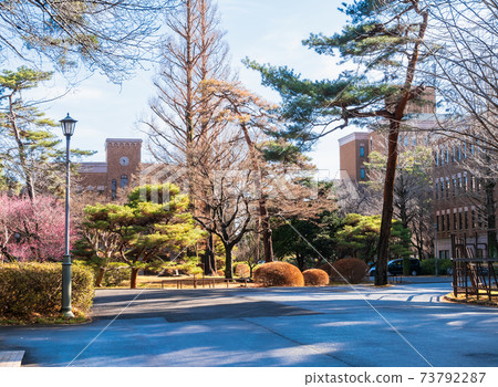 Hitotsubashi University National Campus 73792287