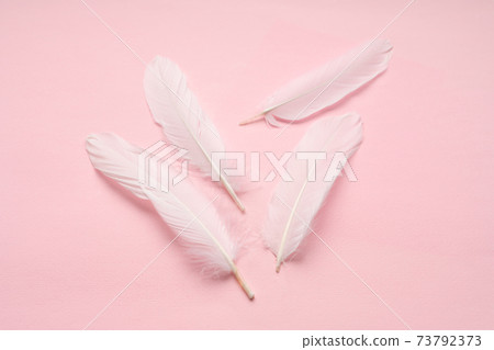 羽毛材質 73792373