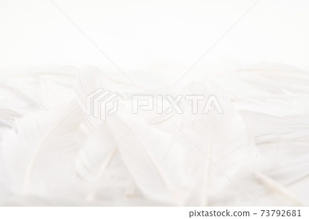 Feather material Feather material 73792681