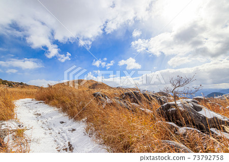 Winter Hiraodai mountain trail, Kitakyushu City, Fukuoka Prefecture 73792758
