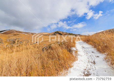 Winter Hiraodai mountain trail, Kitakyushu City, Fukuoka Prefecture 73792759