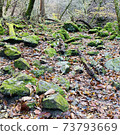 Mossy rocks in the mountains 73793669