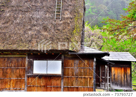 一點點人群 73793727