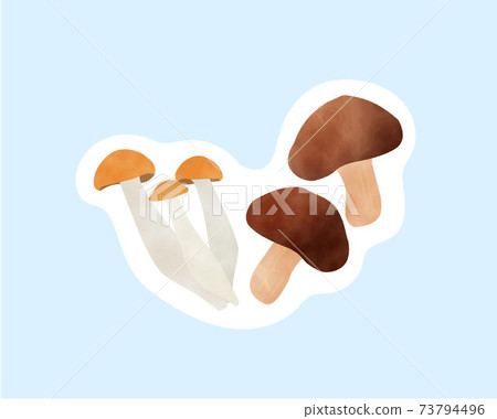 Ingredients that boost immunity / sugar restriction / watercolor / fungi / mushrooms 73794496
