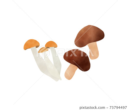 增強免疫力/限製糖分/水彩/真菌/蘑菇的成分 增強免疫力/限製糖分/水彩/真菌/蘑菇的成分 73794497