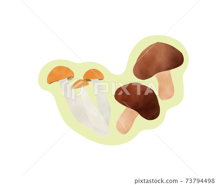 Ingredients that boost immunity / sugar restriction / watercolor / fungi / mushrooms 73794498