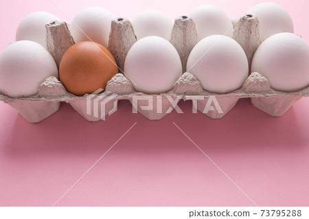 Tray with chicken eggs on a pink background. A brown egg among white. The concept of individuality. 73795288