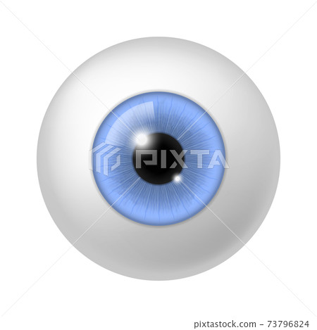 Realistic Human Eyeball Anatomy Blue Eye Close ìŠ¤í†¡ì¼ëŸ¬ìŠ¤íŠ¸ 73796824 Pixta