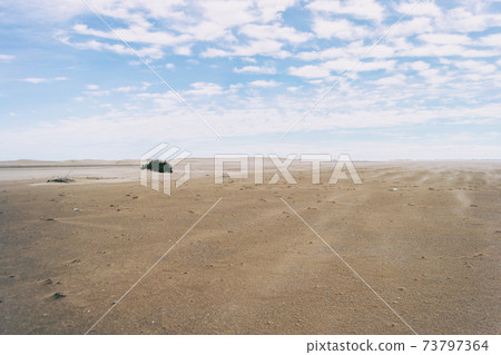 Lonely dunes in the Ebro delta, Tarragona, Spain. Lonely dunes in the Ebro delta, Tarragona, Spain. 73797364