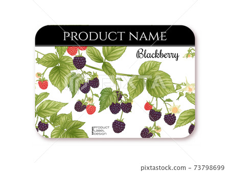 Blackberry. Ripe berries on branch. Template for product label, 73798699