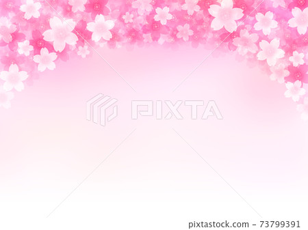 Cherry background background illustration 73799391