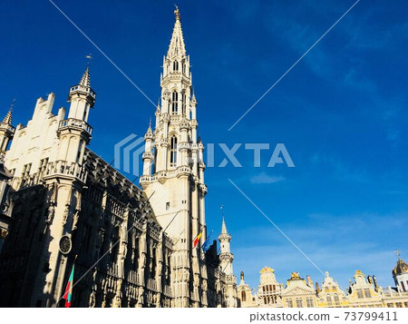 Brussels castle 73799411