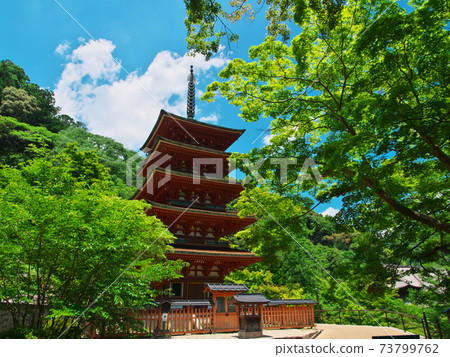 奈良縣Hasedera寺的五層塔被新鮮綠色植物包裹 73799762