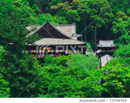 View of the main hall surrounded by fresh green from Hase-dera Honbo, Nara Prefecture View of the main hall surrounded by fresh green from Hase-dera Honbo, Nara Prefecture 73799765