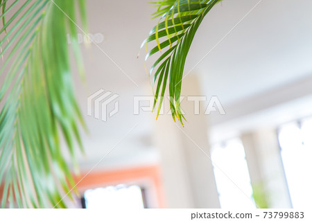 Everyday image Everyday image 73799883