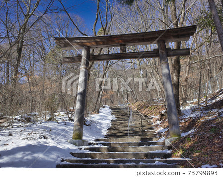 雪地小駒岳小鳥神社的鳥居 73799893