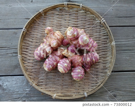 紅菊芋 紅菊芋 73800012