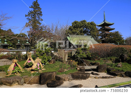 1月台東188冬季植物園和五層寶塔/上野溫泉公園 1月台東188冬季植物園和五層寶塔/上野溫泉公園 73800230