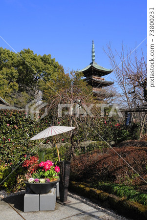 1月台東187冬季植物園和五層寶塔/上野溫泉公園 1月台東187冬季植物園和五層寶塔/上野溫泉公園 73800231