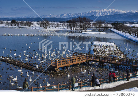 孝子湖和二王子山 孝子湖和二王子山 73800376