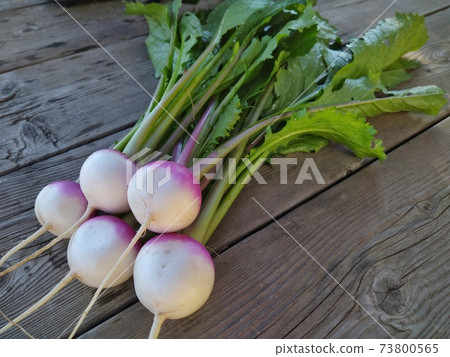 Ayame積雪覆蓋 73800565