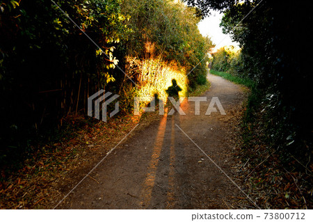 冬天的輪廓 73800712