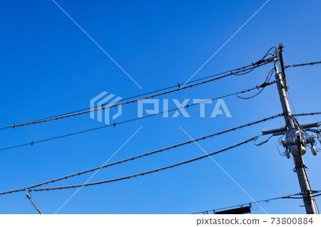 Electric poles in the blue sky background and electric wires covered with bird repellent 73800884