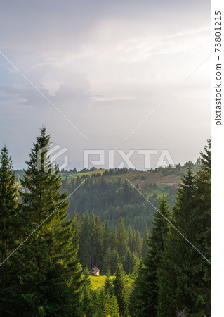 Summer nature landscape of Karpaty Mountains. a Summer nature landscape of Karpaty Mountains. a 73801215