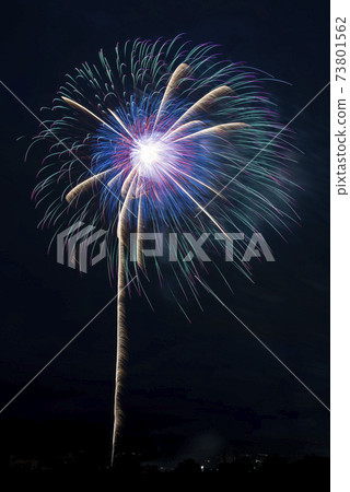 [秋田縣]大mag煙花。全國煙花比賽。日本最好的煙花匯演。 73801562