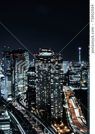 濱松町世界貿易中心大樓的新橋夜景 濱松町世界貿易中心大樓的新橋夜景 73802084