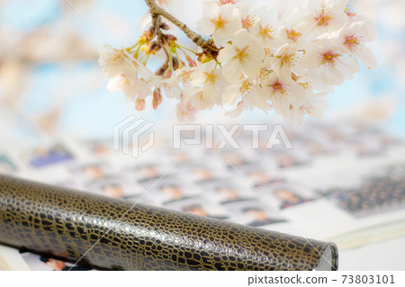 Graduation image Graduation album and cherry blossoms Graduation image Graduation album and cherry blossoms 73803101