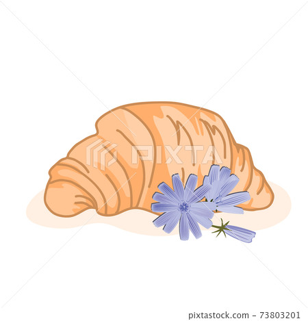 Delicious baked croissant and cute chicory flowers isolated on a white background. Vector illustration, good morning concept Delicious baked croissant and cute chicory flowers isolated on a white background. Vector illustration, good morning concept 73803201