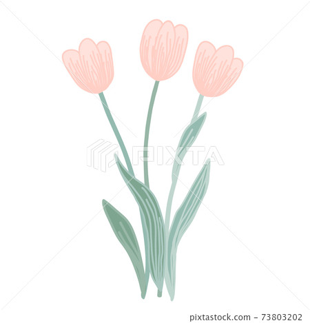 Doodle vector pink tulip flowers isolated on a white background. Creative illustration for your design Doodle vector pink tulip flowers isolated on a white background. Creative illustration for your design 73803202