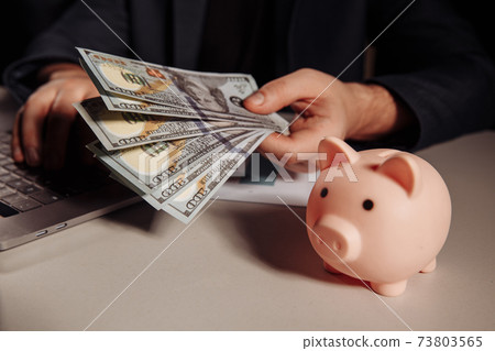 Man with dollar banknotes in his hand working using laptop, pink piggy bank with coins next him. Investment and business concept 73803565