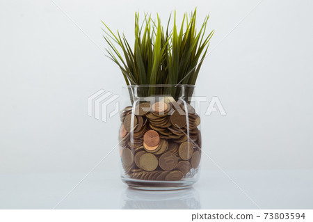 Grass growing out of coins in bank. Money and savings concept Grass growing out of coins in bank. Money and savings concept 73803594