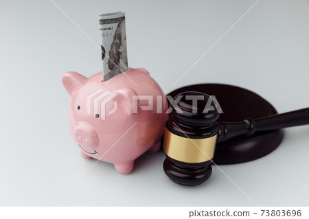 Judge gavel and pink piggy bank with dollar bill on a white desk. Loan and finance concept 73803696