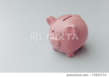 Piggy bank on a white background. Finance, saving money concept Piggy bank on a white background. Finance, saving money concept 73803714