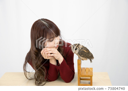 Young woman staring at an owl 73804740