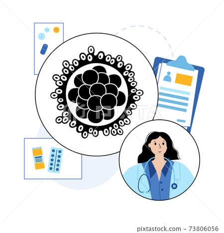 Morula anatomy concept Morula anatomy concept 73806056
