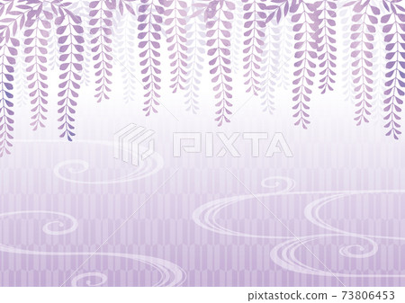 Japanese pattern background of purple wisteria flowers 73806453