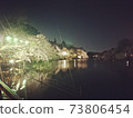 Waterside cherry blossoms at night 73806454