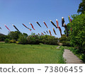 Carp streamer swimming in the countryside and the blue sky 73806455