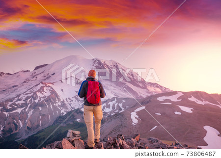Mt Rainier 73806487