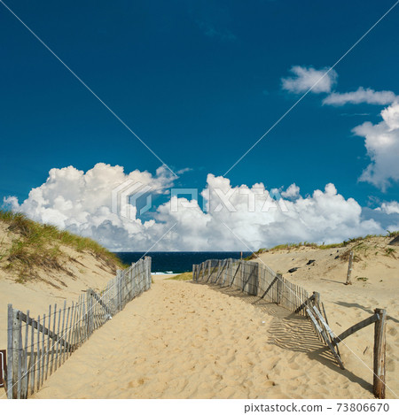 Path way to the beach at Cape Cod 73806670