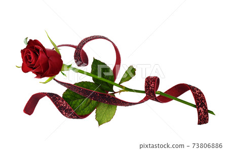 Waved in a heart shape velvet lurex ribbon and red rose isolated on white background Waved in a heart shape velvet lurex ribbon and red rose isolated on white background 73806886